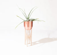 The 8 Inch Natural Birch Planter Stand and Copper Spun Planter on a grayish background. 