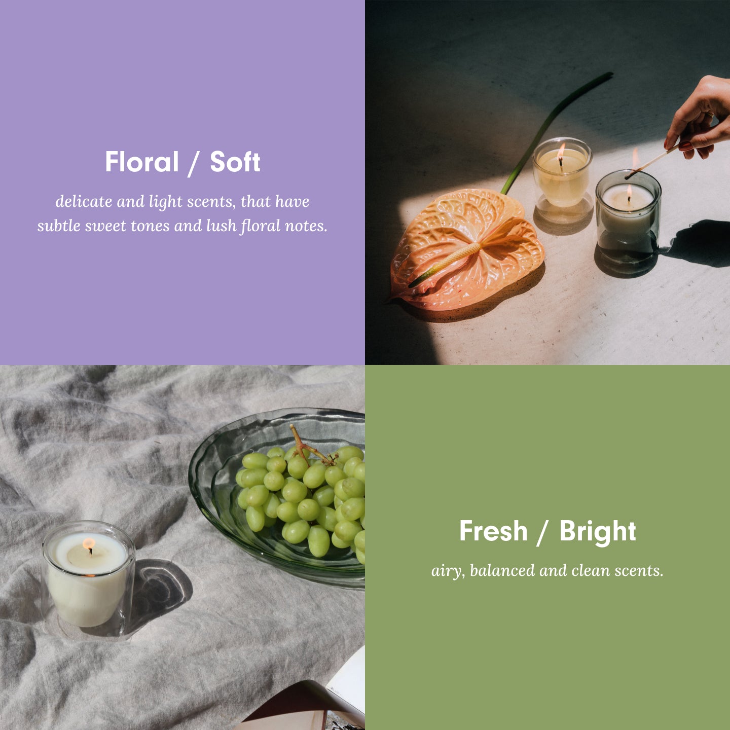 Fresh & Airy Collection